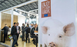Китай начал антидемпинговое расследование в отношении свинины из ЕС