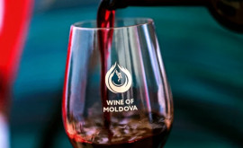 Un nou succes al vinurilor moldovenești pe scena mondială