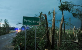 Грозы с ураганами повредили в Польше дома и урожай