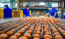 UE va impune taxe de import și pentru ouăle din Ucraina 