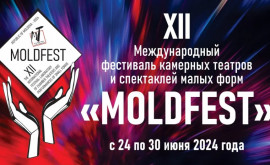 Teatrul De pe strada Trandafirilor organizează un nou festival MOLDFEST 2024 