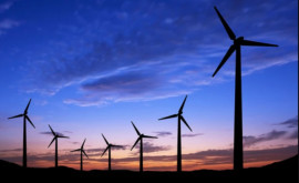 Правительство поддерживает использование энергии из возобновляемых источников
