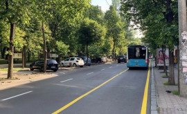 Benzi pentru transportul public vor apărea și pe un bulevard din sectorul Botanica al capitalei