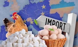UE va impune din nou taxe pe ouăle și zahărul din Ucraina