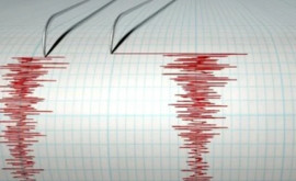 Землетрясение магнитудой 5 Где оно произошло