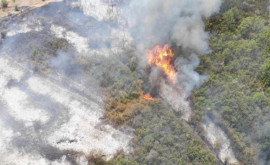 Пожар в Кагульском районе Местный примар обращается к добровольцам