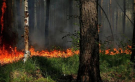 Agenția de Mediu Nu dați foc vegetației uscate