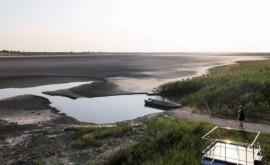 Valul de căldură face ravagii în Europa Un lac din Serbia a secat