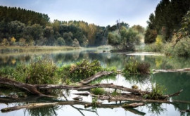 Meteorologii avertizează apa din rîuri poate crește