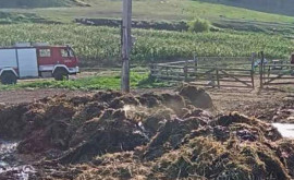 Pompierii au intervenit la Briceni Au salvat mai multe animale domestice