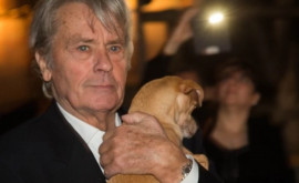 Alain Delon și relația sa specială cu patrupezii Sînt singurii care mau iubit necondiționat