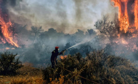 Victimele incendiului de pădure de lîngă Atena vor primi despăgubiri de milioane de euro