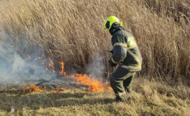 Intervenția pompierilor la lichidare unui incendiu de vegetație în orașul Stăuceni