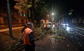 Chișinăul afectat de furtuna din noaptea trecută echipele primăriei lucrează continuu