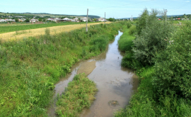 Poluarea rîului Cogîlnic din cauza unui sistem de canalizare defect