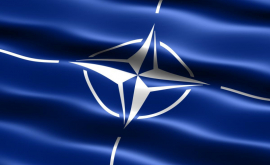 МИД развертывание сил НАТО в Прибалтике представляет угрозу для России