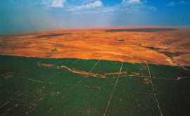 Великая зеленая стена Африки остановит пустыню в короткие сроки