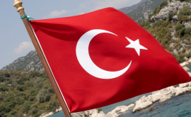 Австралия предупредила о возможности теракта в Турции
