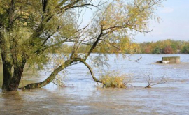 В Комрате уровень воды достиг больше метра ВИДЕО