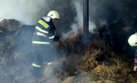 Incendiu la o fermă de vite din Ghiliceni