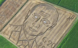 Огромный портрет Путина появился на пшеничном поле в Италии