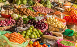 Молдова резко увеличила экспорт овощей и винограда