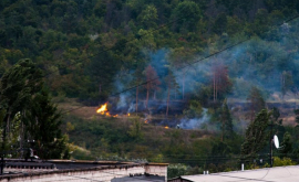 Пожар в лесу между Чеканами и Рышкановкой