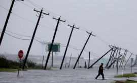 Uraganul Harvey a adus creaturi ciudate din adîncuri FOTO