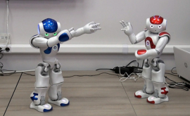 Робот Фрэнк из Технического университета нашел себе партнершу ВИДЕО
