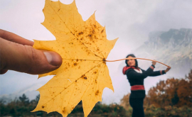 Лучшие фотографии Instagram за октябрь