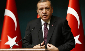 Эрдогана беспокоят войска России и США в Сирии