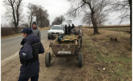 Отправился на охоту а попал в полицию