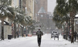 Во Флориде впервые за 29 лет выпал снег ФОТО