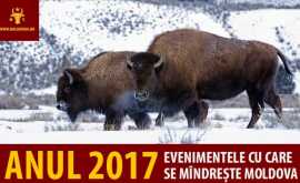 Anul 2017 Evenimentele cu care se mîndrește Moldova