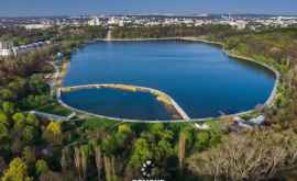 În parcul Valea Morilor din Capitală ar putea apărea un complex locativ