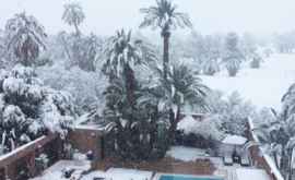 На юге Марокко впервые за 50 лет выпал снег ВИДЕО