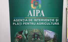 AIPA a lansat serviciul Programare online