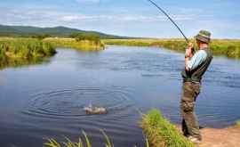 До 10 мая действуют новые правила рыбной ловли Док
