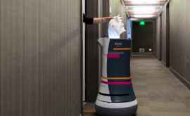 Персонал отелей все чаще заменяют роботами