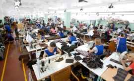 Noua întreprindere din Donduşeni recrutează 740 de angajați