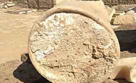 Из чего состоит найденный в Египте древнейший сыр