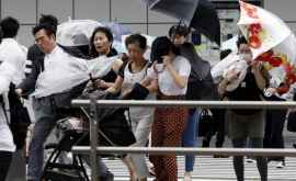 Japonia lovită de cel mai puternic taifun din ultimi 25 de ani FOTO