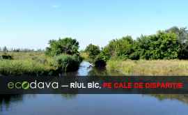 Состояние водных артерий в Молдове катастрофическое