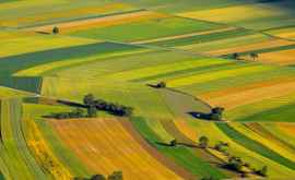 Владеть сельхозучастками будут вправе исключительно граждане Молдовы