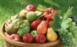 Fructele moldovenești pot ajunge deja în orice colț al lumii