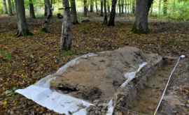 În Polonia a fost găsit un oraș antic cu o suprafaţă de 170 de hectare