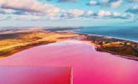 Туристы со всего мира едут посмотреть на розовое озеро ФОТО