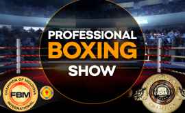 Стали известны супервайзер и рефери титульного боя PROFESSIONAL BOXING SHOW ВИДЕО