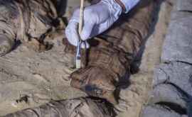 Во время экспедиции Discovery Channel была обнаружена древняя мумия