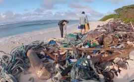 Миллионы зубных щеток и соломинок обнаружены на пляже Индийского океана